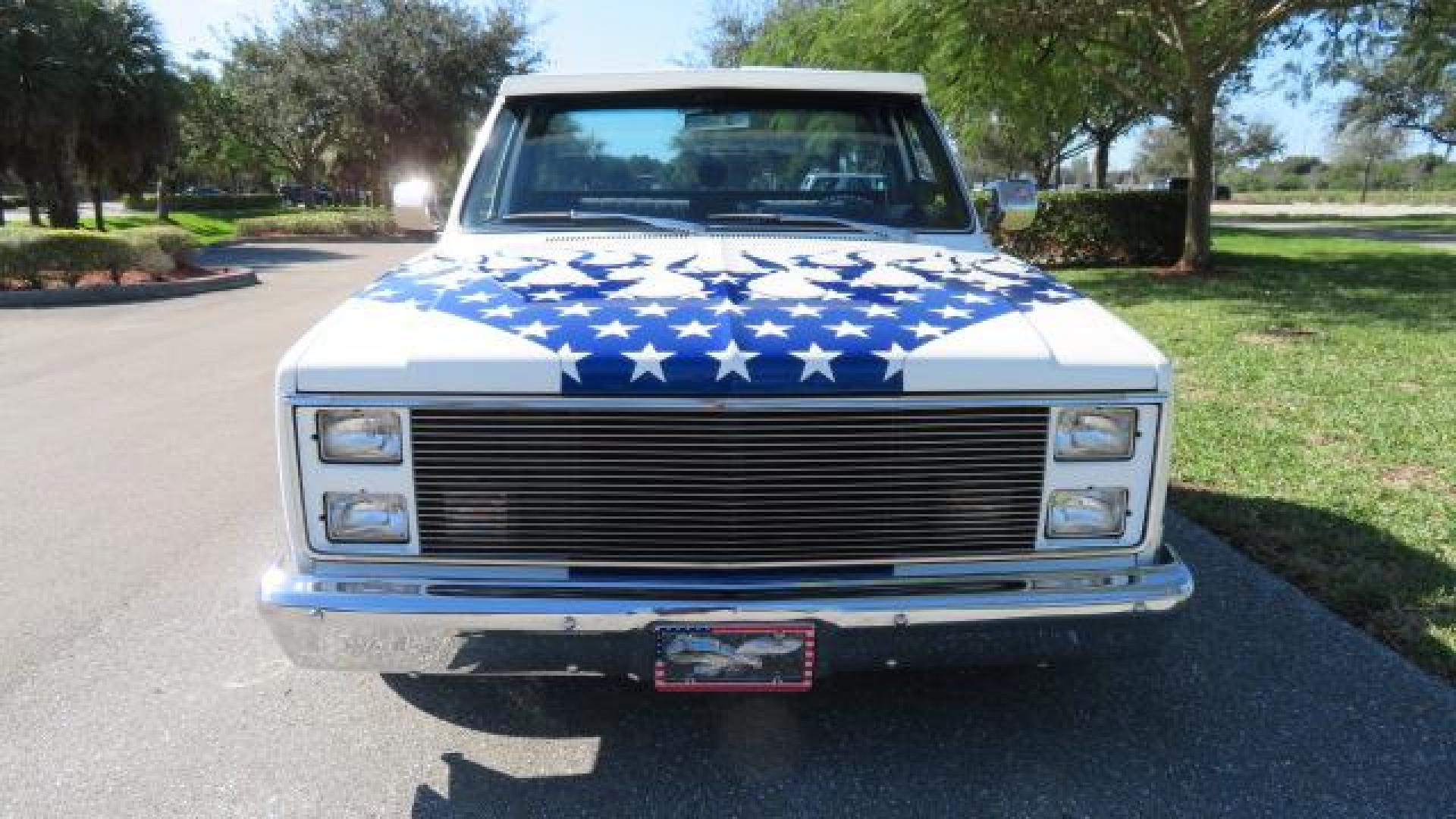 1986 White /Black Chevrolet Silverado 1500 Custom Deluxe 2WD (2GCDC14H5G1) with an 5.0L V8 OHV engine, located at 4301 Oak Circle #19, Boca Raton, FL, 33431, (954) 561-2499, 26.388861, -80.084038 - You are looking at an Absolutely Stunning Show Winning 1986 Chevy C10 Stepside that had a frame off restoration. This is a highly decorated show truck that has won many trophies across many different categories. It's radical and turns heads everywhere. This truck went through a highly meticulous fra - Photo#11