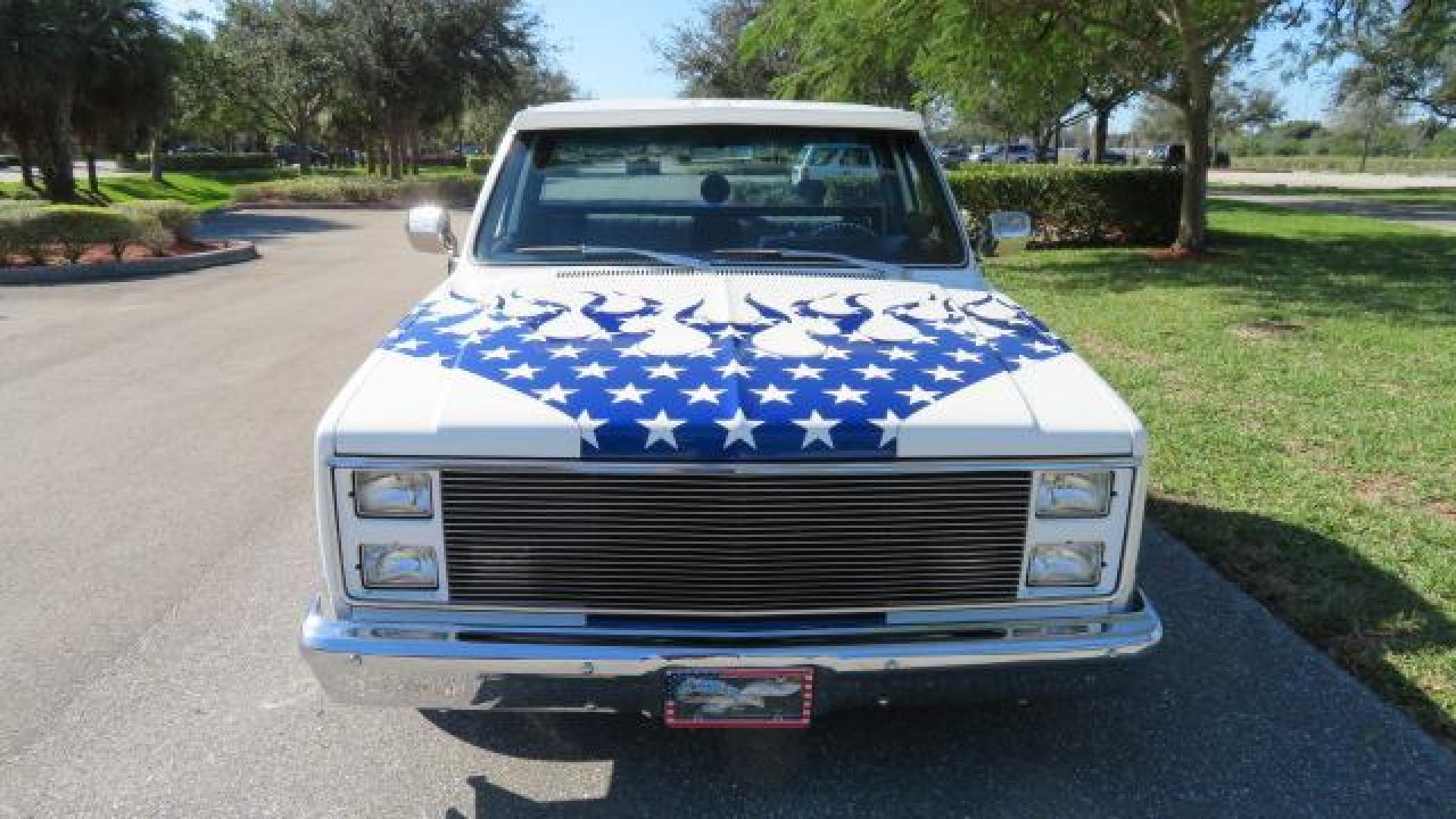 1986 White /Black Chevrolet Silverado 1500 Custom Deluxe 2WD (2GCDC14H5G1) with an 5.0L V8 OHV engine, located at 4301 Oak Circle #19, Boca Raton, FL, 33431, (954) 561-2499, 26.388861, -80.084038 - You are looking at an Absolutely Stunning Show Winning 1986 Chevy C10 Stepside that had a frame off restoration. This is a highly decorated show truck that has won many trophies across many different categories. It's radical and turns heads everywhere. This truck went through a highly meticulous fra - Photo#12